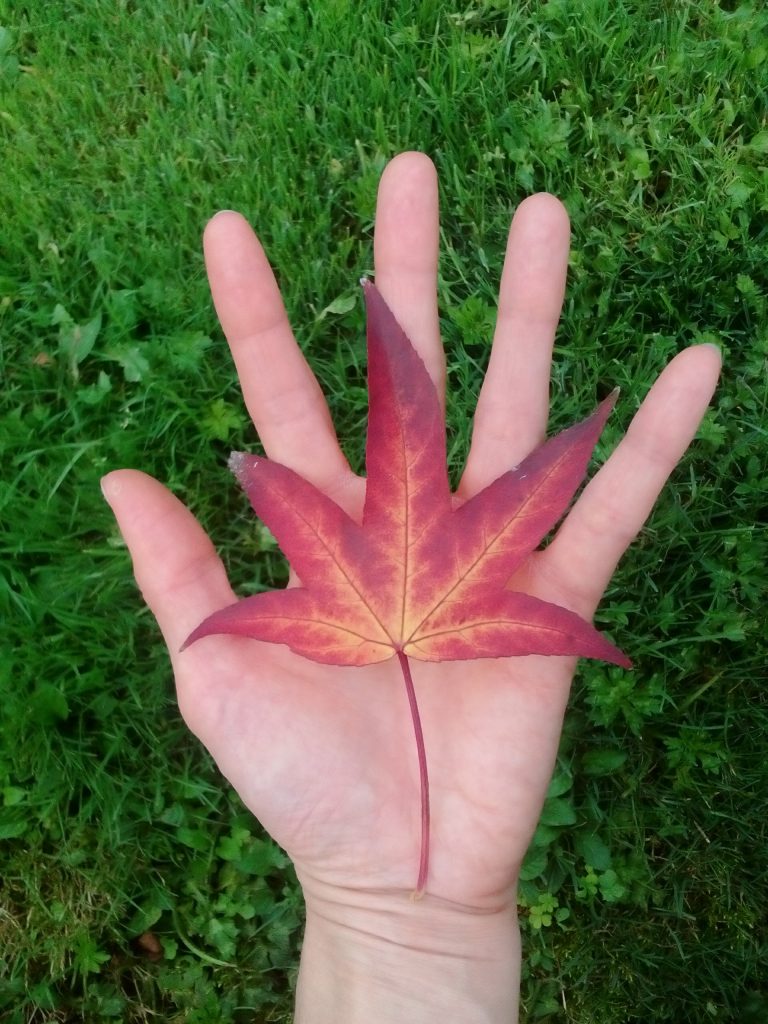 Contacta con Mente Esfera. Foto Etermynd