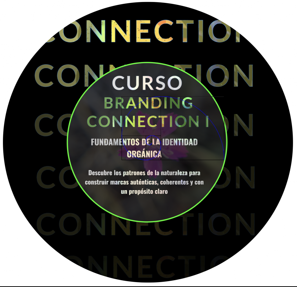 Branding Connexión curso 1. Para crear una identidad, primero debes saber qué és una identidad. Nos sumergimos en los patrones de la naturaleza para encontrarlo. Este curso no va de aprender más manuales, sino de volver a lo que eres para conectar con toda la información que existe. El camino hacia ti mismo usando la herramienta del branding.
